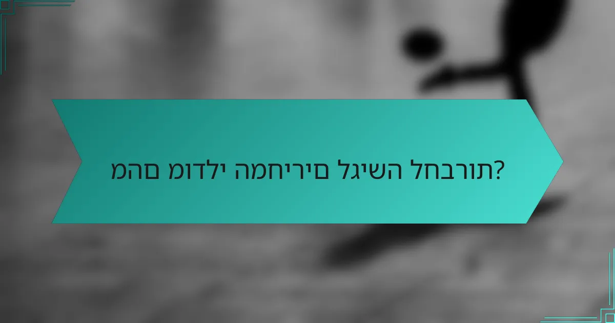 מהם מודלי המחירים לגישה לחברות?